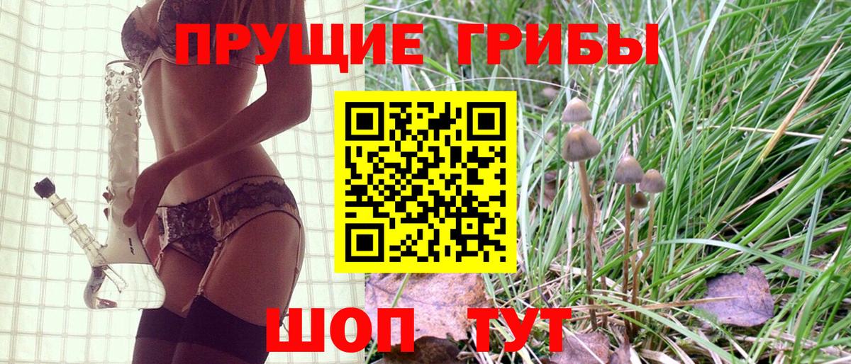 Псилоцибиновые грибы прущие грибы Сегежа